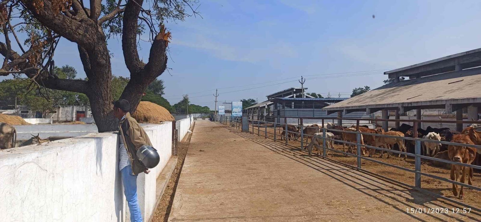 Gaushala Mantralayam